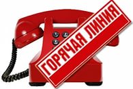 «Горячая линия» по вопросам качества и безопасности плодовоовощной продукции и срокам ее годности