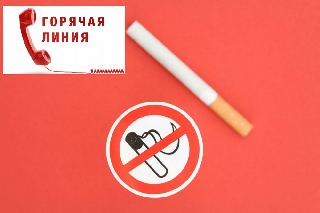 С 29 мая 2024 года в рамках акции проведения Всемирного Дня без табака под лозунгом: «Защитить детей от вмешательства табачной промышленности!» работает «горячая линия»